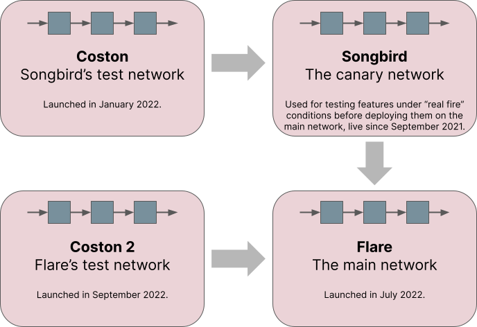 The Flare networks